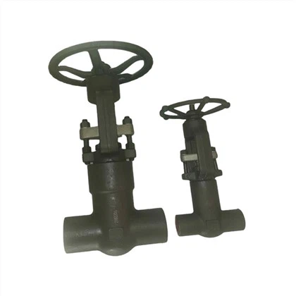 4500Lb Gate Valve